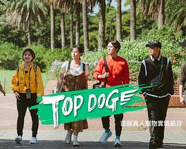 樱花动漫《TOP DOG》免费在线观看