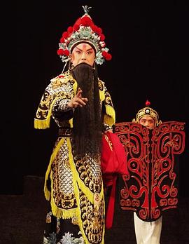 樱花视频《袁崇焕2009》免费在线观看