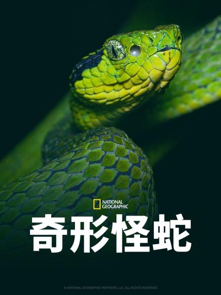 樱花视频《奇形怪蛇》免费在线观看